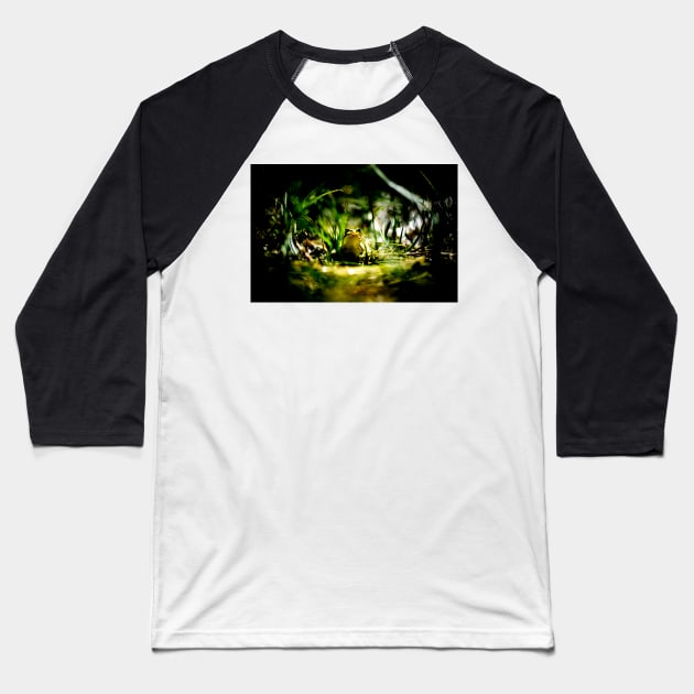Frogger - High Contrast Baseball T-Shirt by arc1